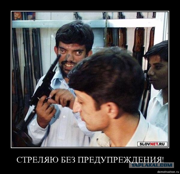 Приколы и маразмы 2