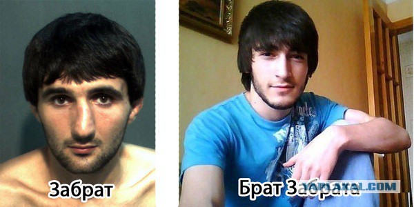 Весёлые картинки. Разбавим будни