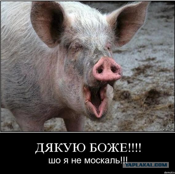 Республика Новороссия