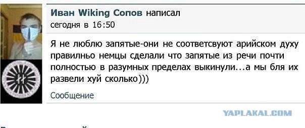 Грамматнасть и нтилехт вконтактовских обитателей
