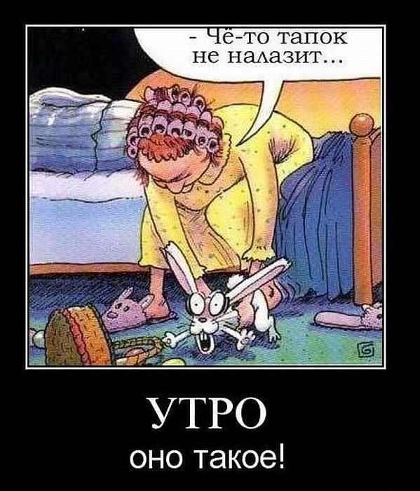 Комментарии из социальных сетей