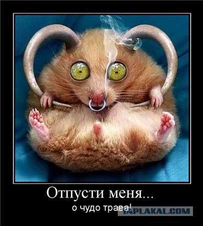 Несколько курьёзных исторических фактов