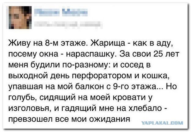 Смешные комментарии из социальных сетей #2