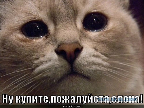 Сказка на ночь.