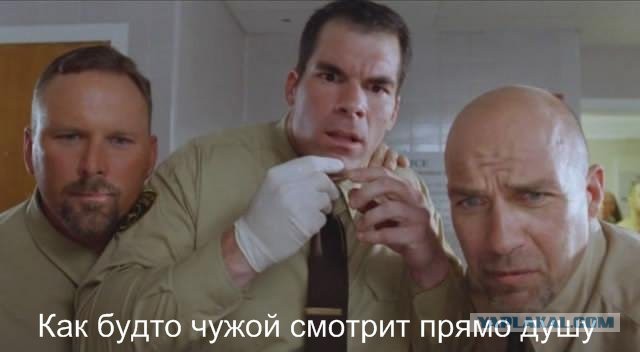 Что вы видите на этой картинке?