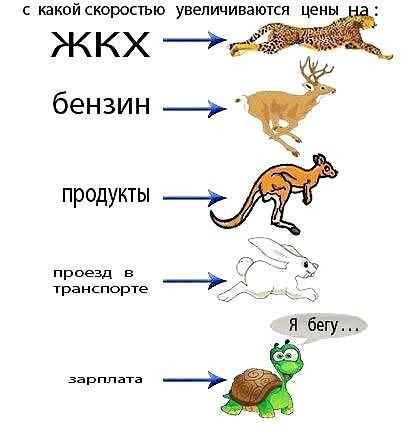 Смешные комментарии из социальных сетей 13.11.14