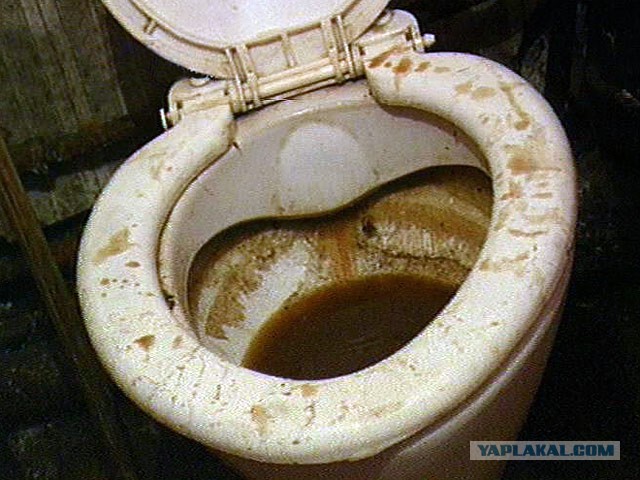Анечка и улиточки.