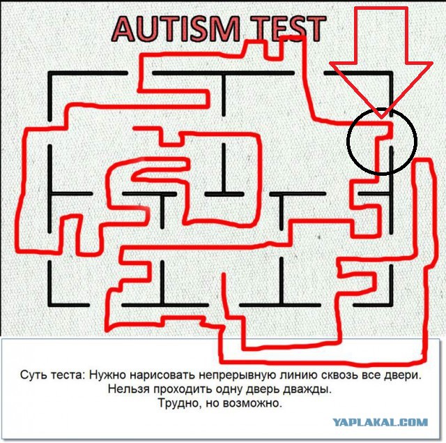 Тест на аутические расстройства. Тест на аутизм двери. Решение теста на аутизм. Проведите непрерывную линию через все двери. Непрерывная линия сквозь все двери.