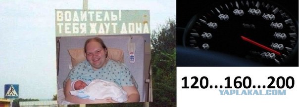 Весёлое из сети