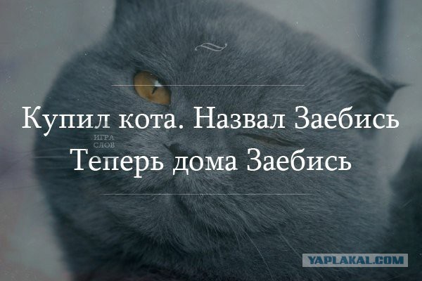 ФАС предложила продавать нефть за рубли