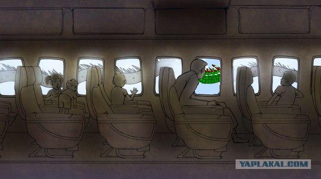 Взрослая жизнь
