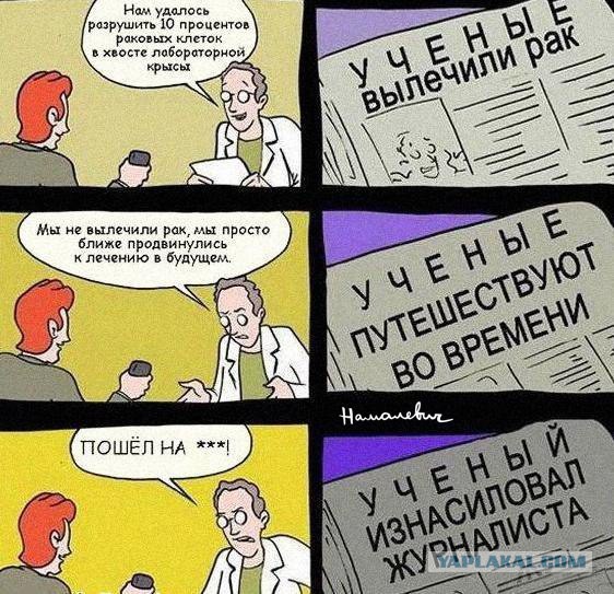 Жизнь как она есть...