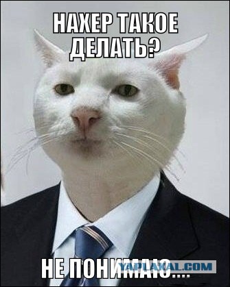 Как я купил ипхон 6 и изменил свою жизнь