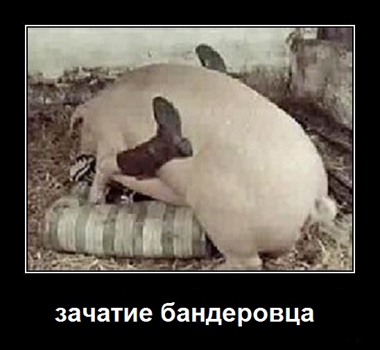Футболка с надписью СССР