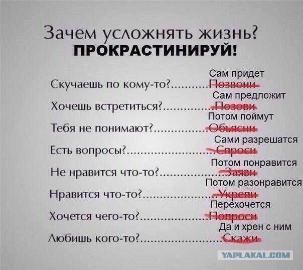 Прикольные фото и картинки