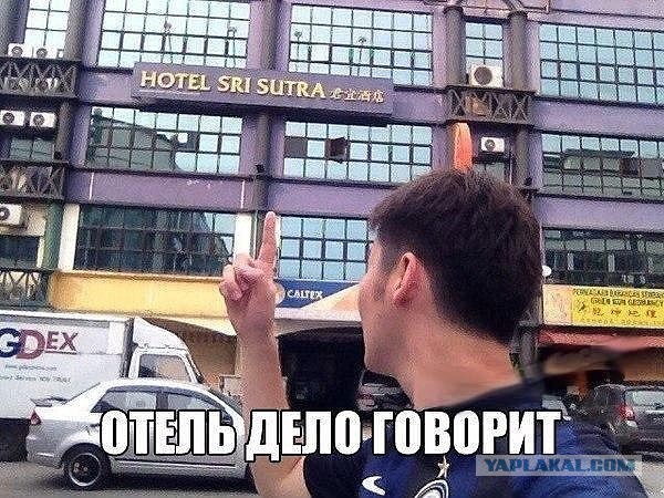 Прикольные фото и картинки