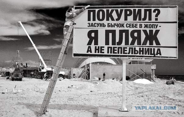 Мерзкие свиньи, которые гадят в Москве