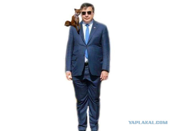 Первые лица государств тогда и сейчас