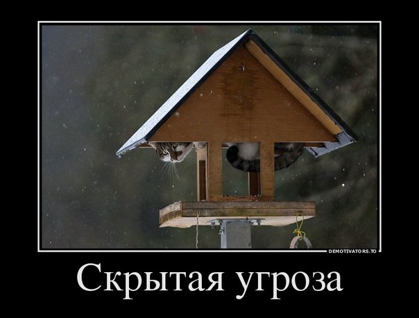 Подборка забавных картинок