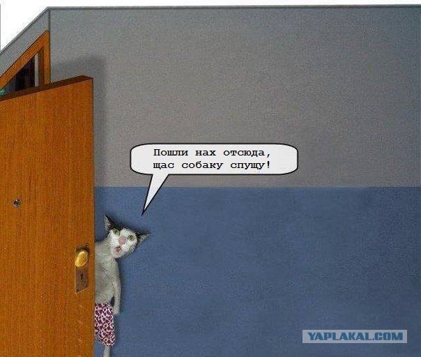 Когда решил вынести мусор