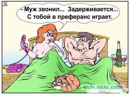 Новая подборка картинок
