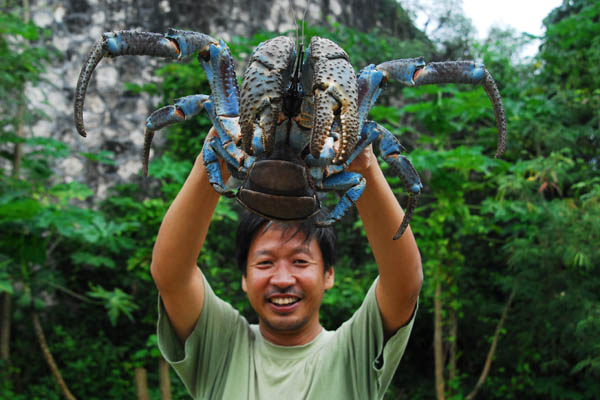Турист сфотографировался с кокосовым раком