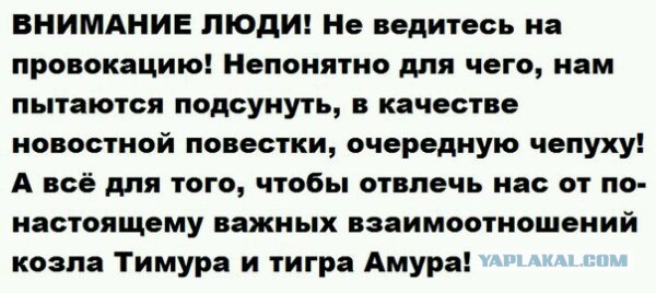 Второй день оглашения приговора Надежде Савченко