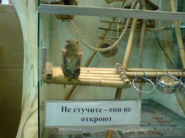50 приколов по-русски