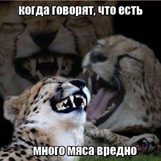 Если бы мясоеды вели себя как ВЕГАНЫ