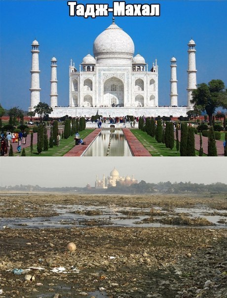 Интересные и веселые картинки