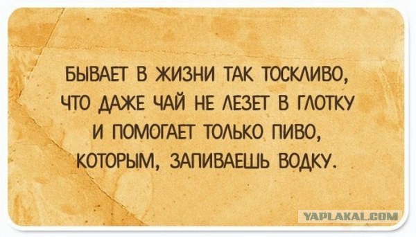 Интересные и веселые картинки