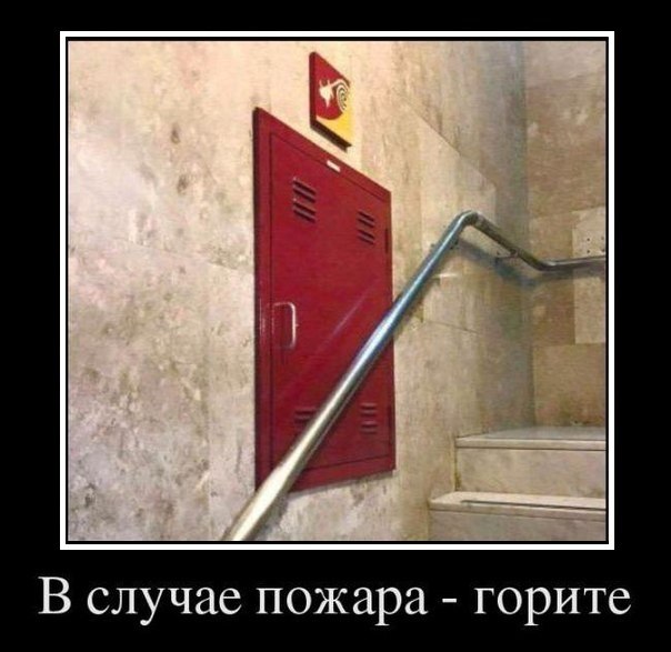 Ассорти картинок из сети