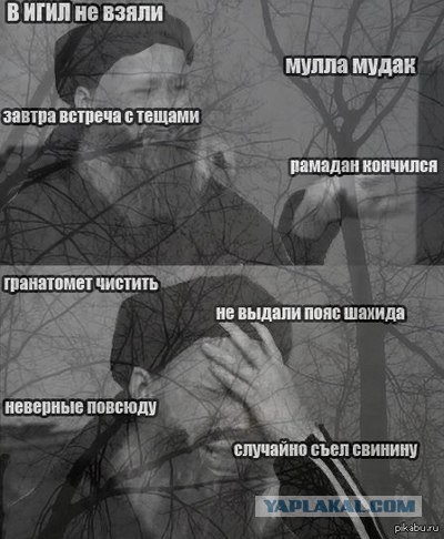 Смешные картинки из сети на 04.11.16