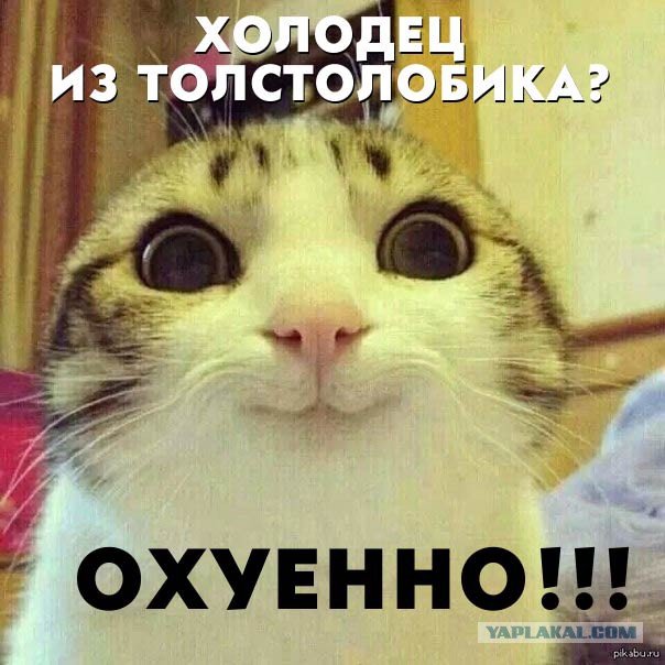 Толстолобик, глубокая переработка.Холодец.