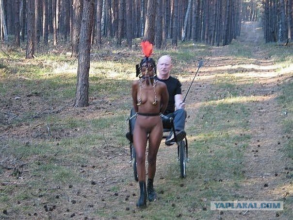 Порция пикчей из палаты №6