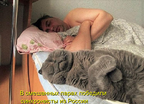 Картинки из ваших интернетов