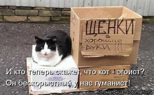 Подборка интересных и веселых картинок