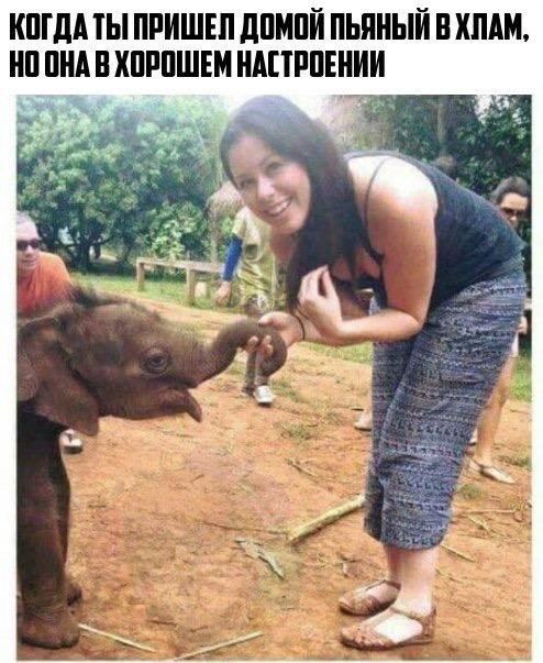 Приколы в стиле "регресс"