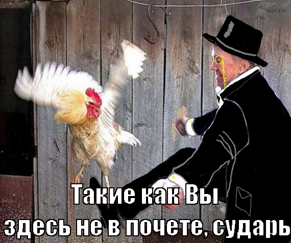 На Ставрополье велосипедист плеснул кислотой в лица двух девушек