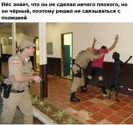 Смешные картинки