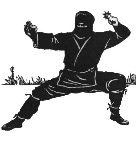Боевые ушуисты