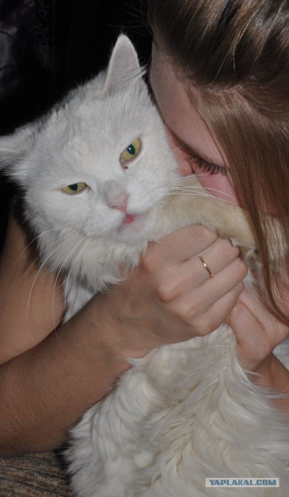 Котовторник 27.03.2012