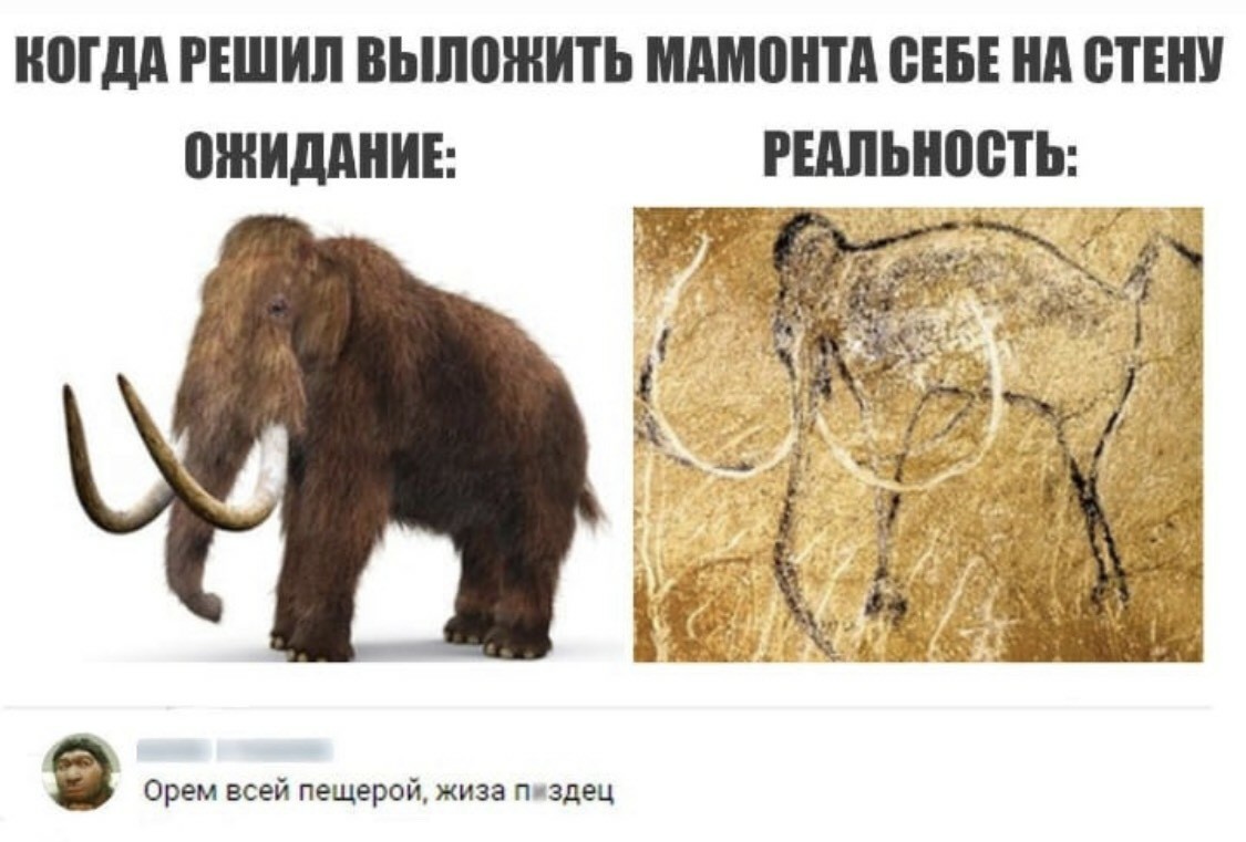 Выкладывала или вылаживала
