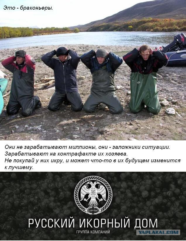 Конкурс на лучшую фотожабу против браконьеров.