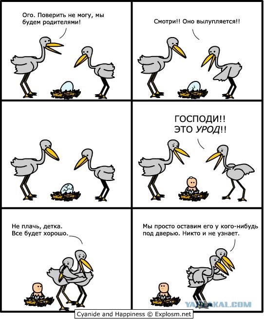 Почему аисты носят детей