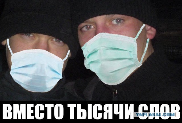 Благодаря эпидемии восстанавливается экология, вымершие мемы возвращаются в интернет