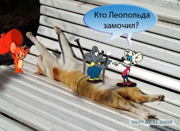 Я знал прикуп! Я в Сочи!