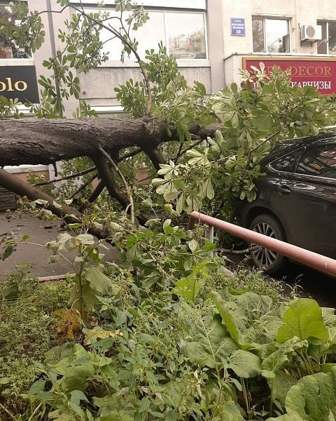 Из-за тайфуна «Майсак» плавучий док в бухте Улисс оторвало от швартовых бочек
