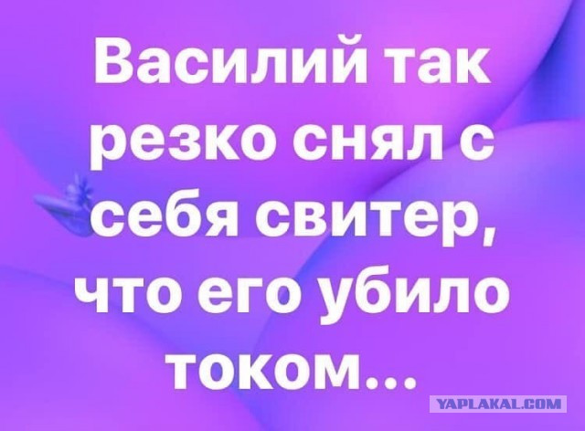 Фотки и картинки: юморные и красивые, забавные и милые 09.10.20