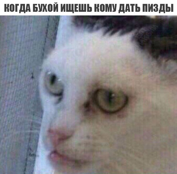 Арсенал новорега